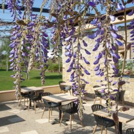 Restaurant at Hotel Aires de l'Empordà