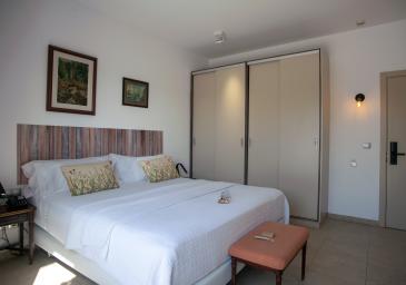 CHAMBRE DOUBLE  AVEC TERRASSE ET VUE À LA RUE CALME