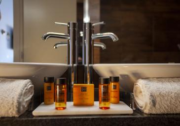 CHAMBRE DOUBLE AVEC BALCON ET VUE JARDIN