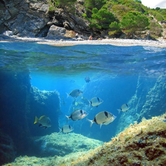 PLAGES DE LA COSTA BRAVA