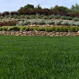 Jardín en Hotel Aires de l'Empordà